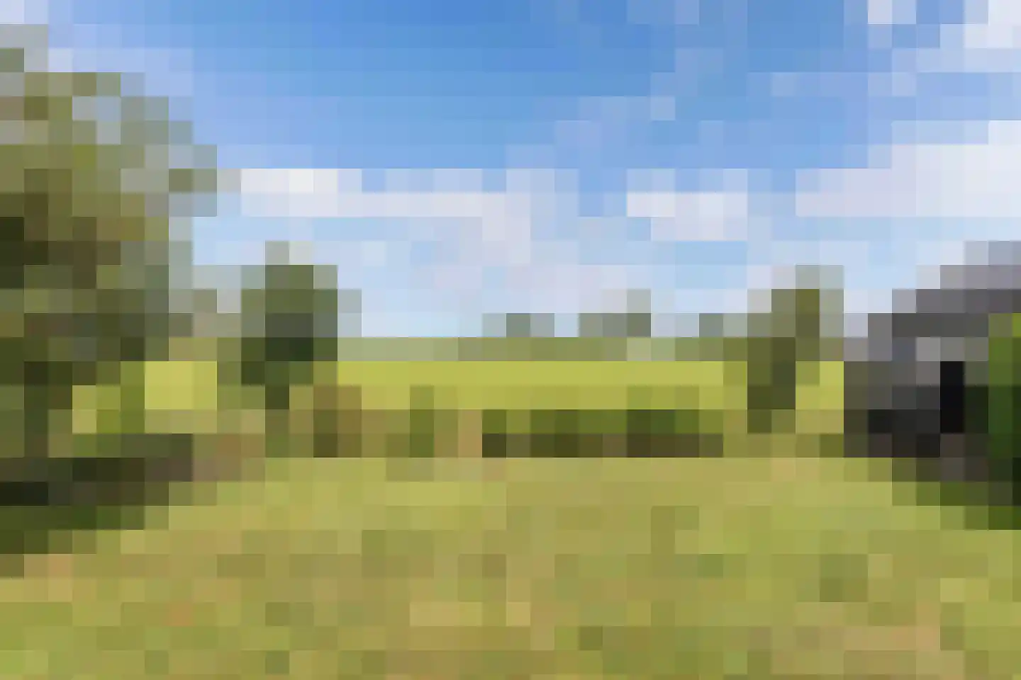 de Finne 25 Wytgaard thumbnail 66