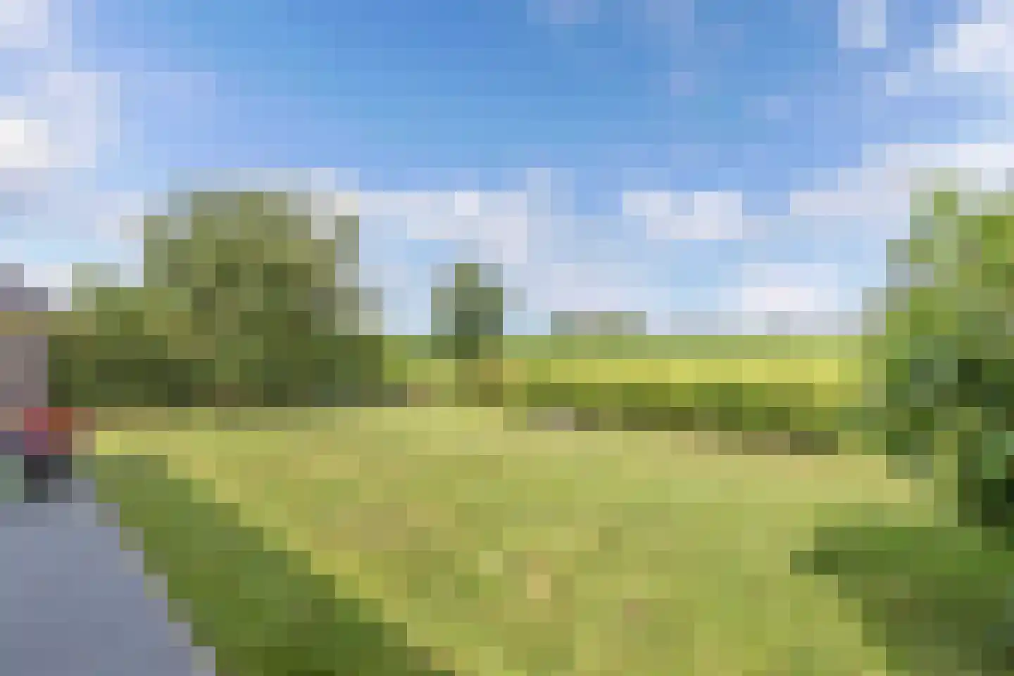 de Finne 25 Wytgaard thumbnail 67