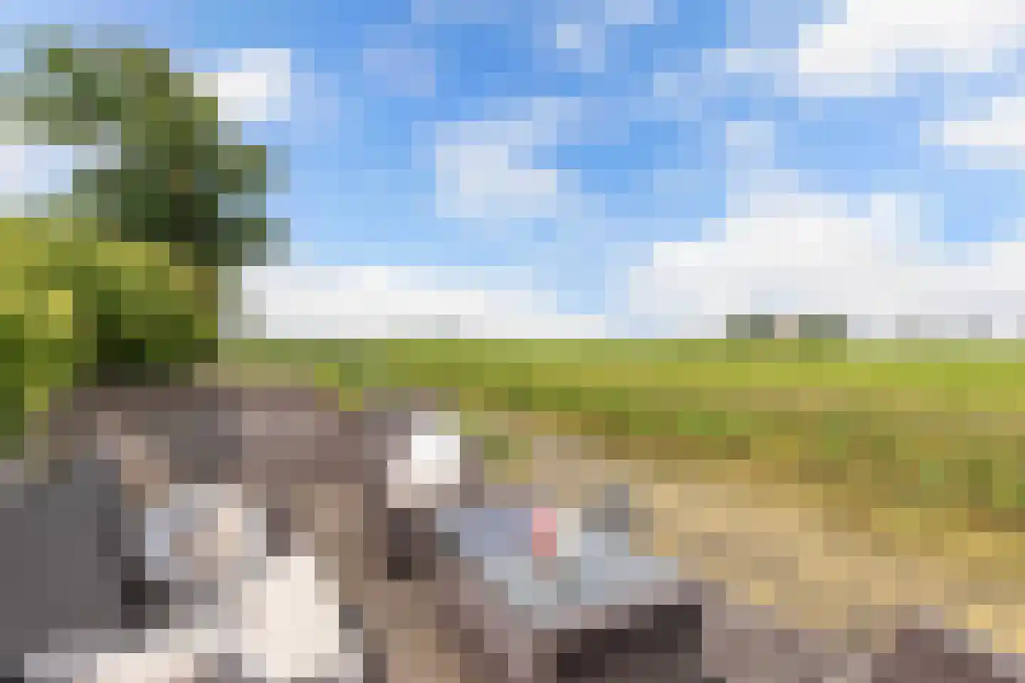 de Finne 25 Wytgaard thumbnail 68