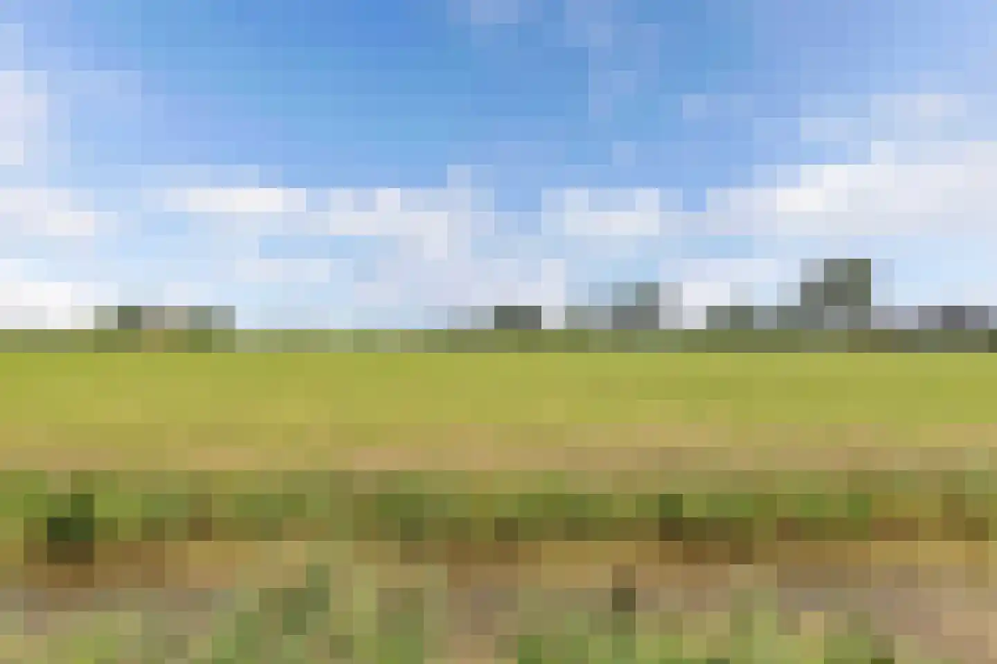 de Finne 25 Wytgaard thumbnail 69