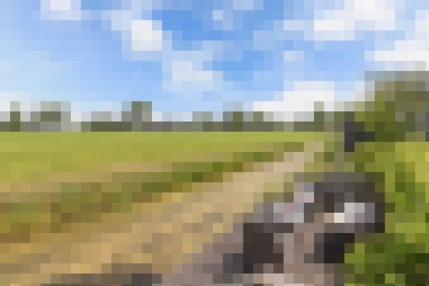 de Finne 25 Wytgaard thumbnail 70
