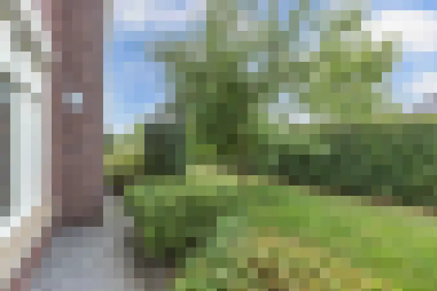 de Finne 25 Wytgaard thumbnail 72