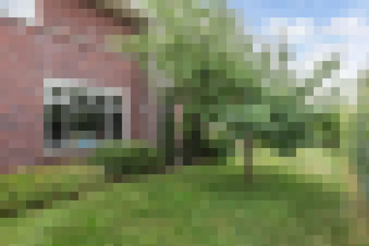 de Finne 25 Wytgaard thumbnail 73