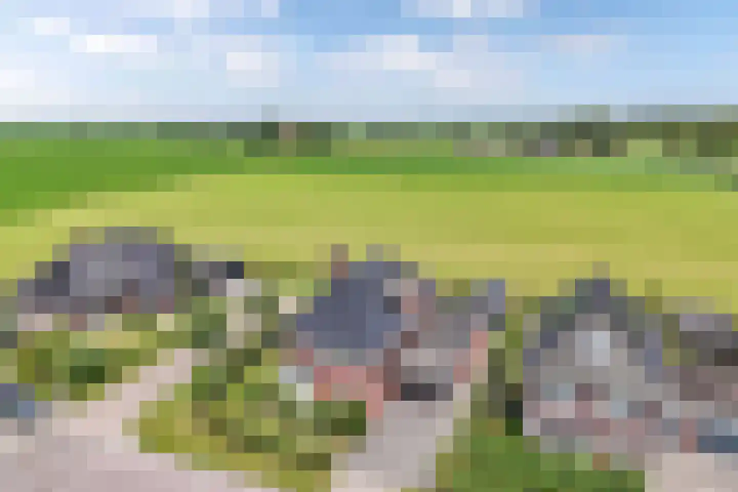 de Finne 25 Wytgaard thumbnail 77