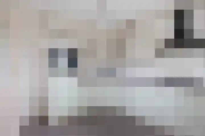 de Finne 3 Wytgaard thumbnail 10