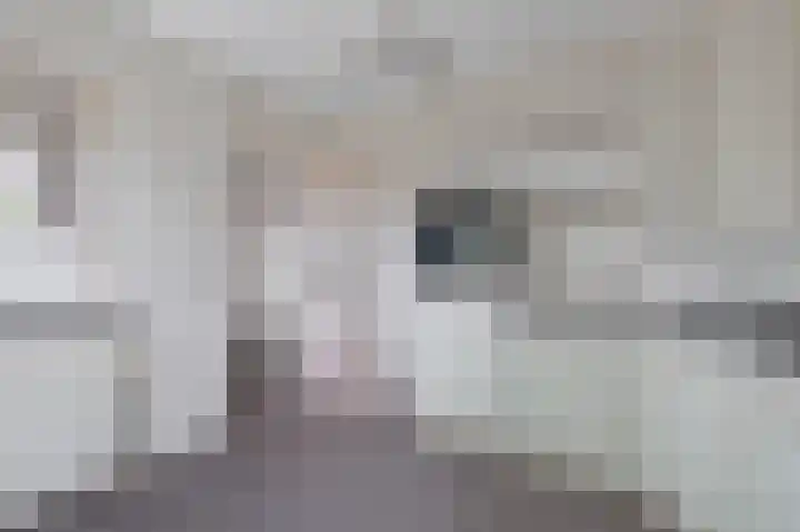 de Finne 3 Wytgaard thumbnail 11