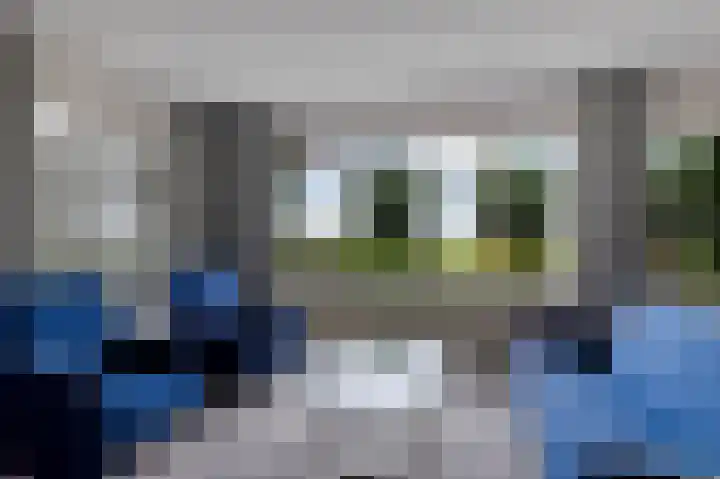 de Finne 3 Wytgaard thumbnail 15