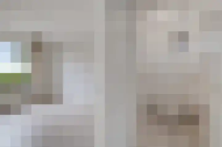 de Finne 3 Wytgaard thumbnail 18