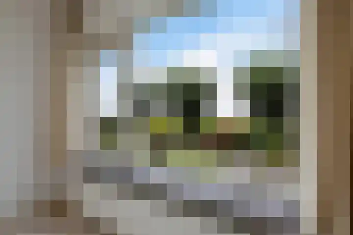 de Finne 3 Wytgaard thumbnail 20