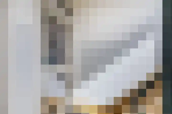 de Finne 3 Wytgaard thumbnail 22