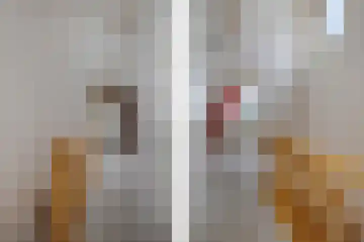 de Finne 3 Wytgaard thumbnail 23