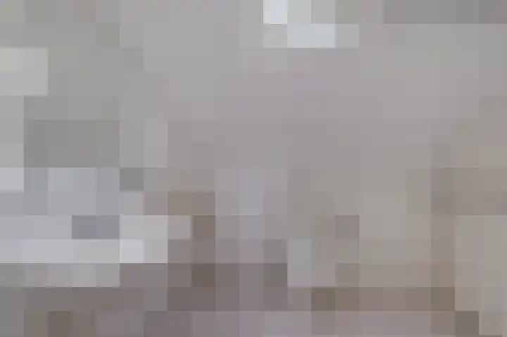 de Finne 3 Wytgaard thumbnail 28