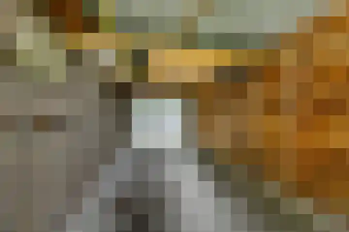de Finne 3 Wytgaard thumbnail 31