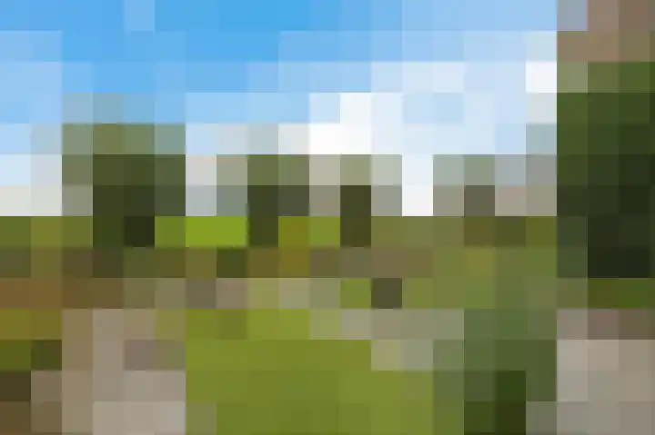 de Finne 3 Wytgaard thumbnail 33