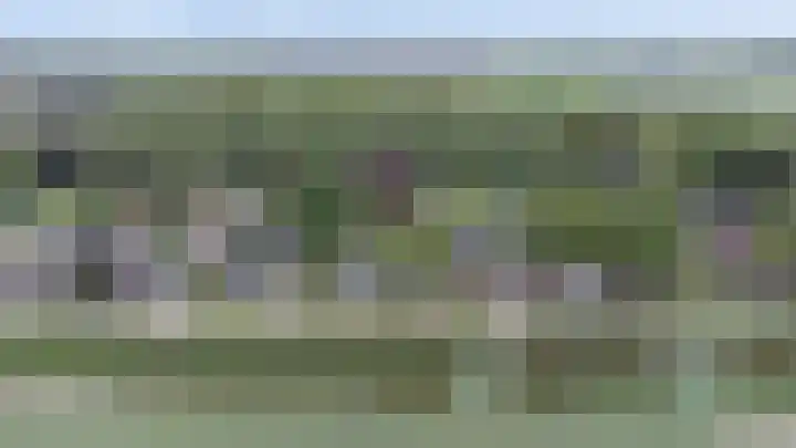de Finne 3 Wytgaard thumbnail 36