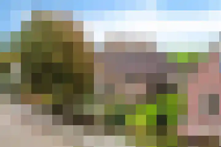 de Finne 3 Wytgaard thumbnail 36
