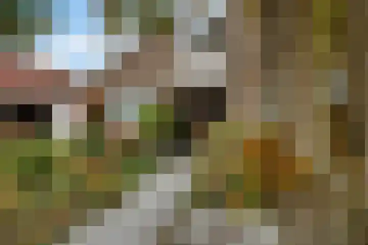 de Finne 3 Wytgaard thumbnail 4