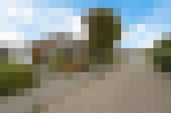 de Finne 3 Wytgaard thumbnail 6