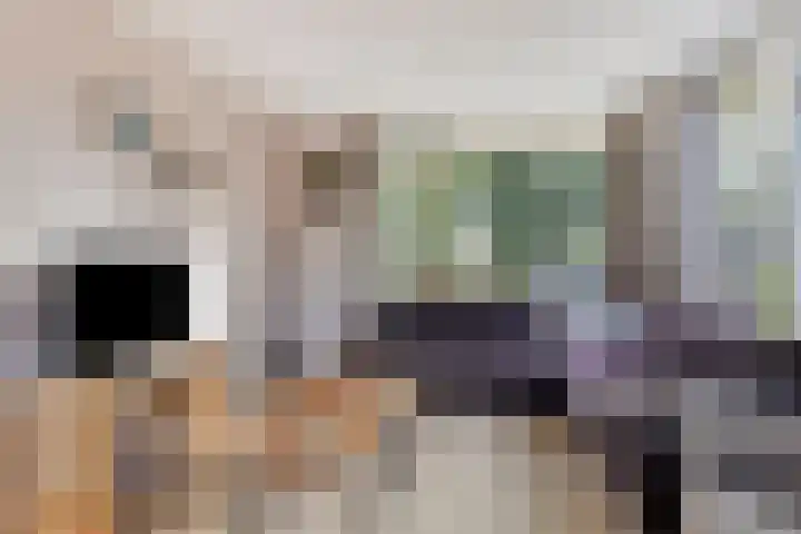 de Finne 30 Tjalleberd thumbnail 11