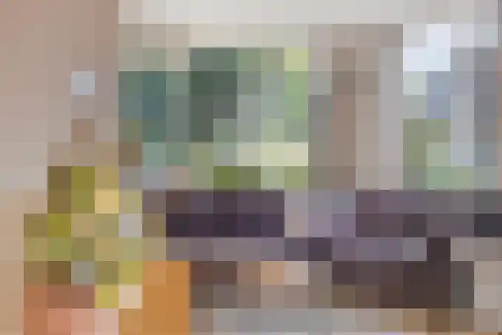 de Finne 30 Tjalleberd thumbnail 12