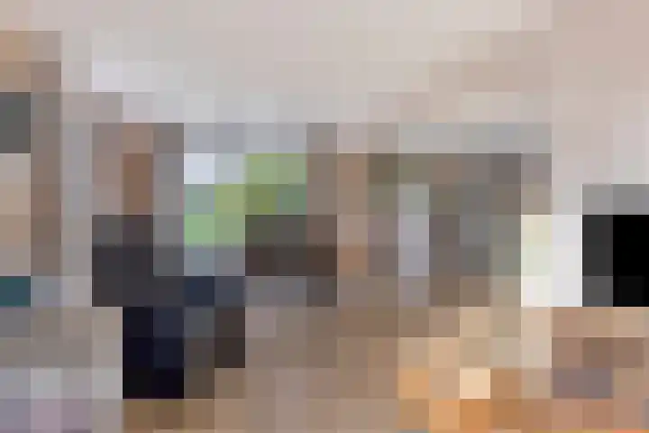 de Finne 30 Tjalleberd thumbnail 13
