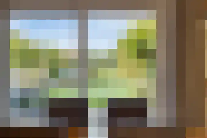 de Finne 30 Tjalleberd thumbnail 14