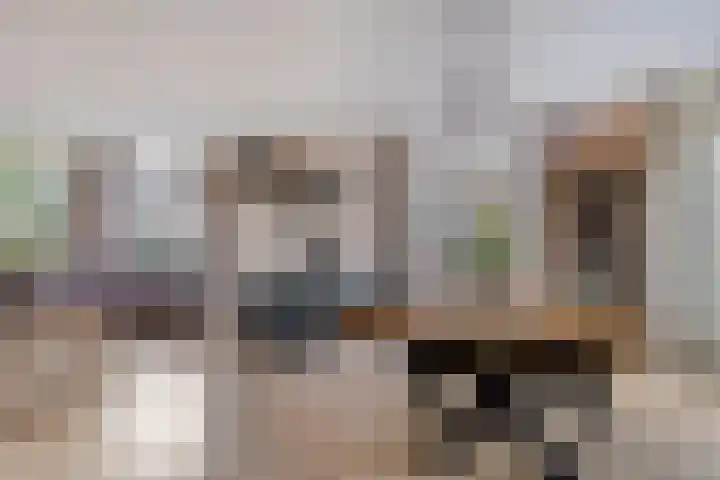 de Finne 30 Tjalleberd thumbnail 15