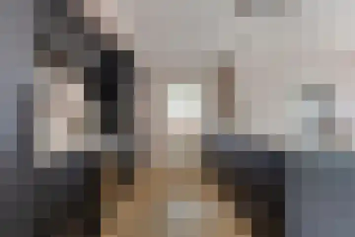 de Finne 30 Tjalleberd thumbnail 16