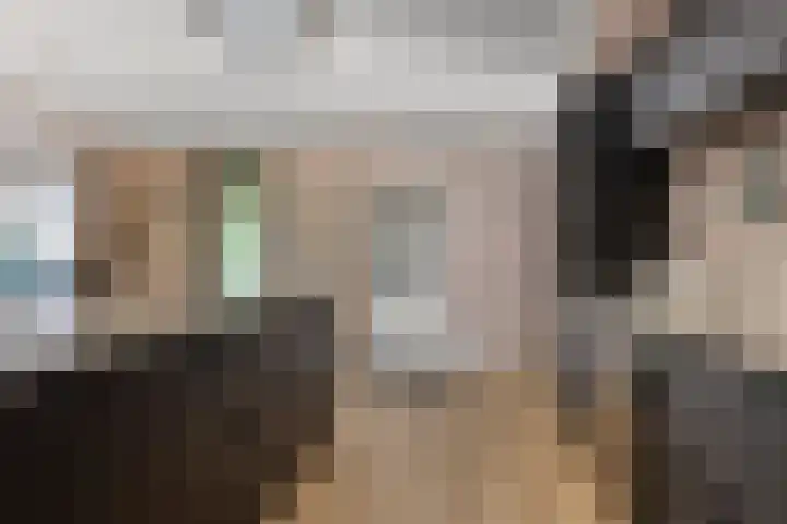 de Finne 30 Tjalleberd thumbnail 17
