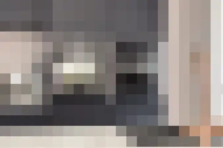 de Finne 30 Tjalleberd thumbnail 18