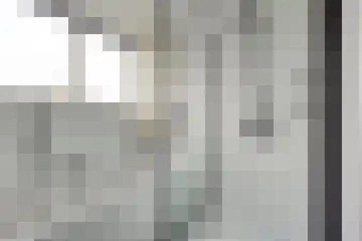 de Finne 30 Tjalleberd thumbnail 23