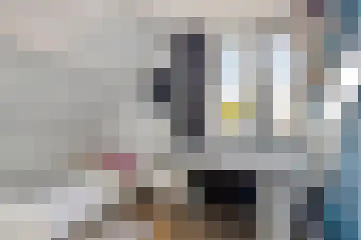 de Finne 30 Tjalleberd thumbnail 25