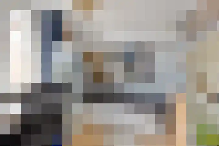 de Finne 30 Tjalleberd thumbnail 26
