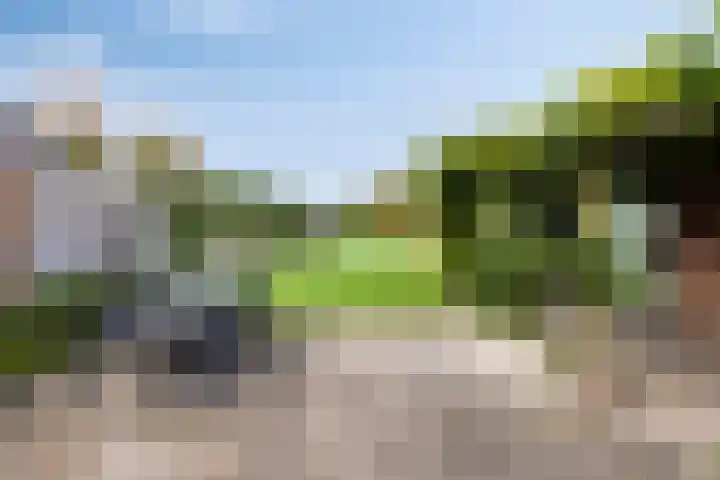 de Finne 30 Tjalleberd thumbnail 28