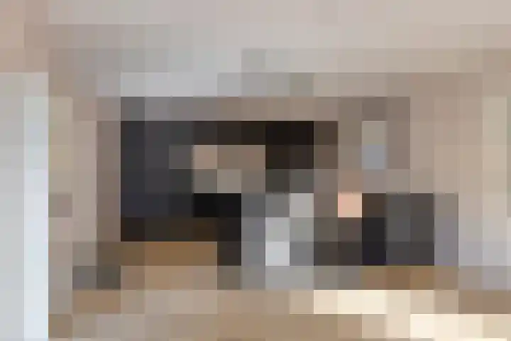 de Finne 30 Tjalleberd foto 3