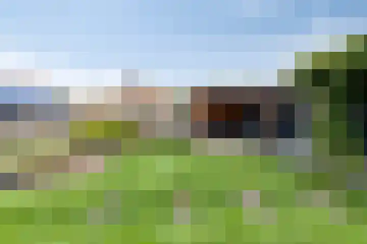 de Finne 30 Tjalleberd thumbnail 30