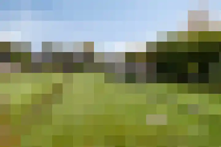 de Finne 30 Tjalleberd thumbnail 33