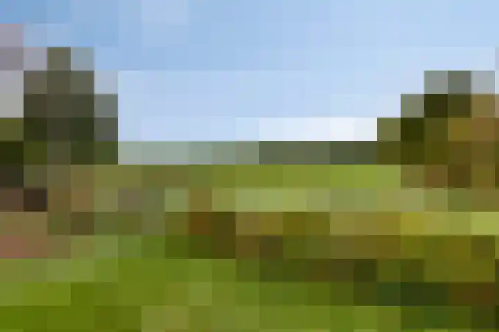de Finne 30 Tjalleberd thumbnail 34