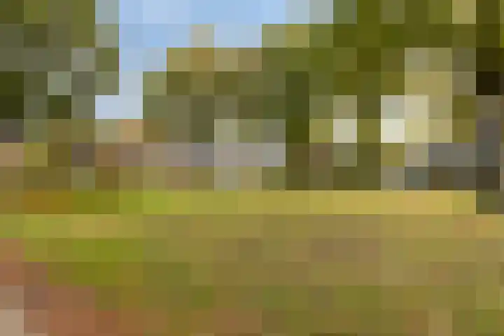 de Finne 30 Tjalleberd thumbnail 36