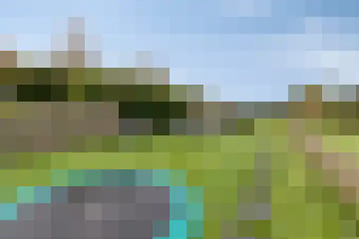 de Finne 30 Tjalleberd thumbnail 4