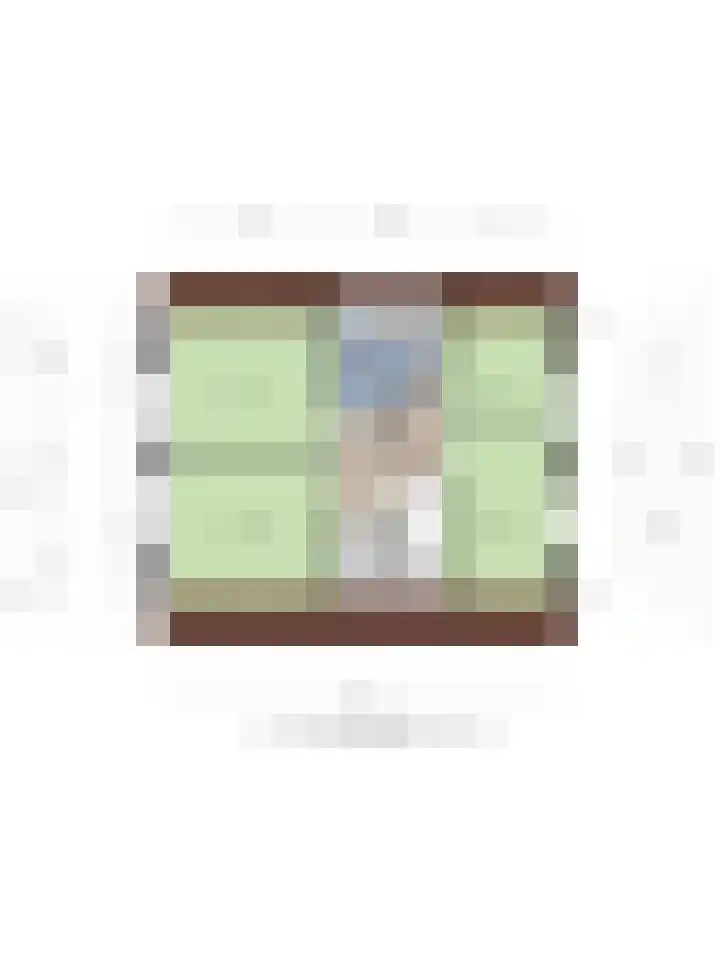 de Finne 30 Tjalleberd thumbnail 40
