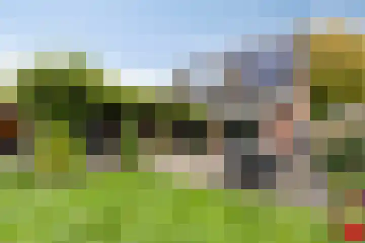 de Finne 30 Tjalleberd thumbnail 5