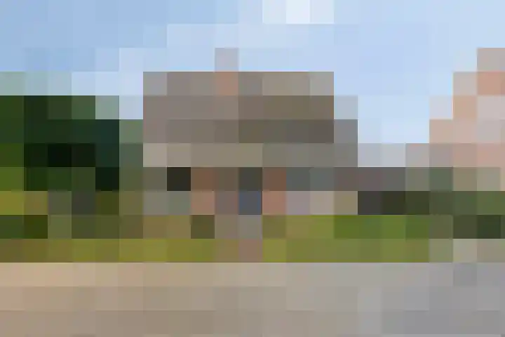 de Finne 30 Tjalleberd thumbnail 6