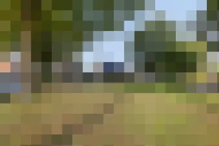 de Finne 30 Tjalleberd thumbnail 7