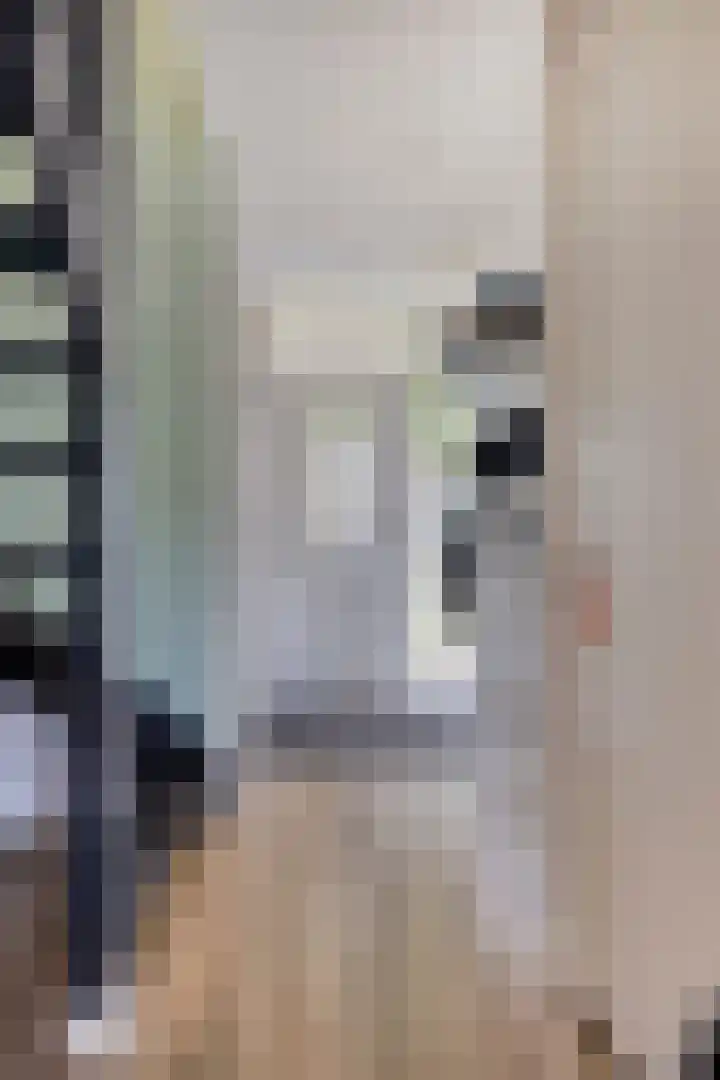 de Finne 30 Tjalleberd thumbnail 9