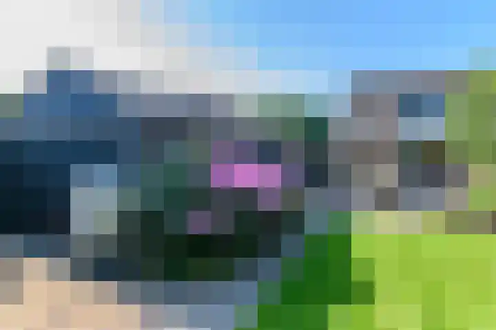 De Finne 4 Langezwaag thumbnail 10