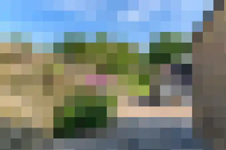 De Finne 4 Langezwaag thumbnail 12