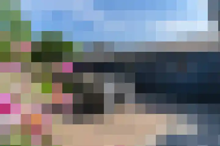 De Finne 4 Langezwaag thumbnail 13