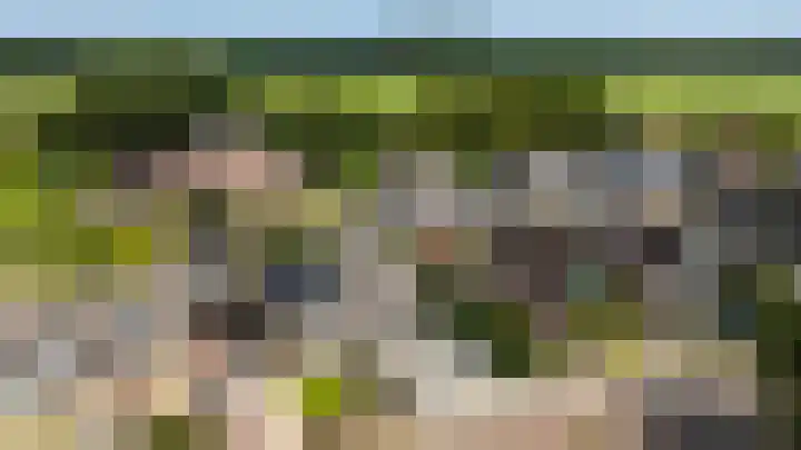 De Finne 4 Langezwaag thumbnail 20
