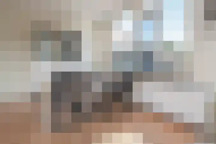 De Finne 4 Langezwaag thumbnail 31